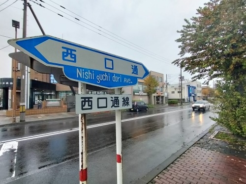 室蘭を散歩|室蘭焼き鳥もうまかったけどイカがとんでもなくうまい!