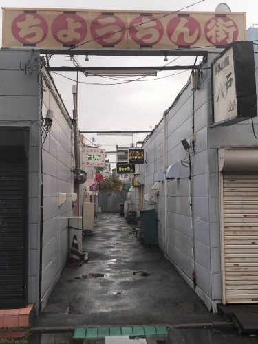 室蘭を散歩|室蘭焼き鳥もうまかったけどイカがとんでもなくうまい!