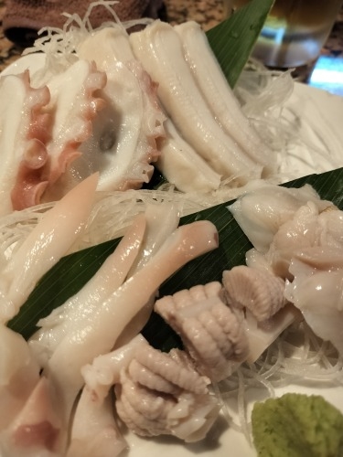 室蘭を散歩|室蘭焼き鳥もうまかったけどイカがとんでもなくうまい!