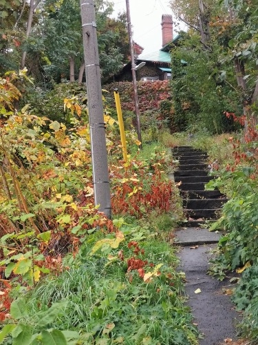 MDyUbH̒ōgtył݂J[X[v