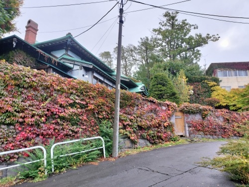 MDyUbH̒ōgtył݂J[X[v