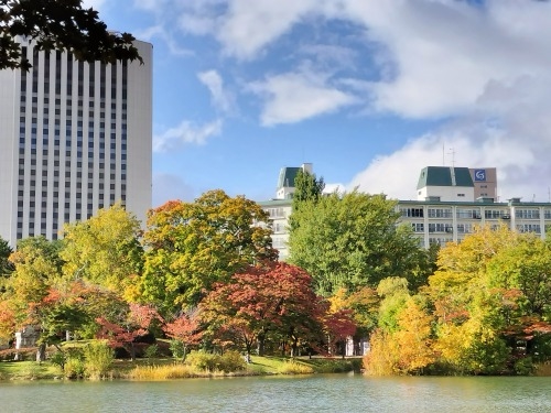 MDyUbH̒ōgtył݂J[X[v