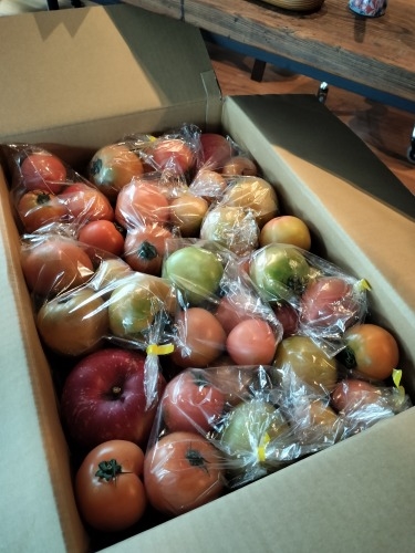 MDyUbH̒ōgtył݂J[X[v