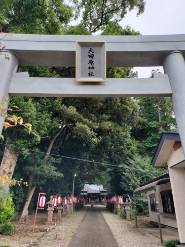 ��c�����U���b�ߐ{�^��̏o�g�n��c���Ɖ��B�X����c���h�Ղ��U����