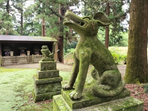 ��c�����U���b�ߐ{�^��̏o�g�n��c���Ɖ��B�X����c���h�Ղ��U����