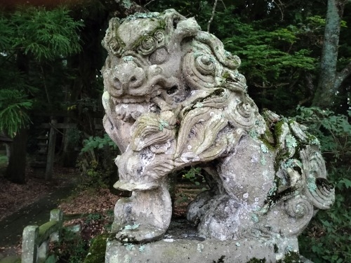 白河の関|江戸時代に松平定信が特定した白河の関をついに訪問したぞ