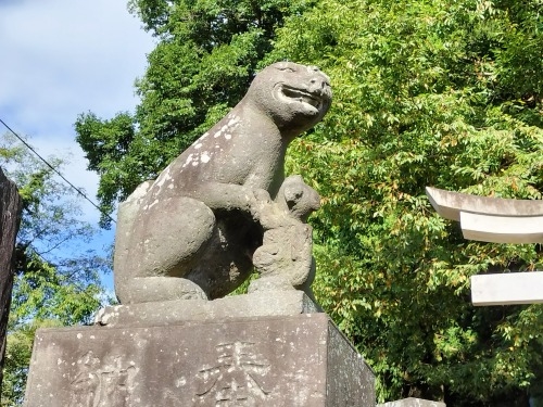 白河を散歩|戊辰戦争で薩摩など西軍が侵入したルートをたどってみた