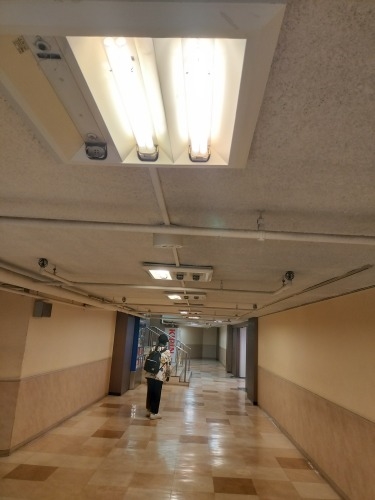 横浜駅西口を散歩|反町駅から線路跡を散歩しながら東神奈川駅へ散歩