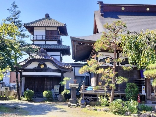 ��Â��U���b�V�D��~�k���ĎO�Y�ł͂Ȃ�����p���D���g���̂�����