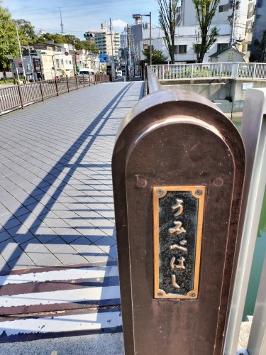 清澄白河を散歩|ピタゴラスイッチカフェと深川1本極太うどん食べた