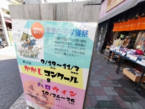 清澄白河を散歩|ピタゴラスイッチカフェと深川1本極太うどん食べた