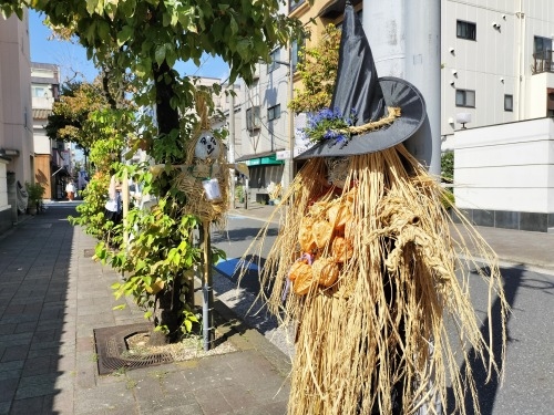 清澄白河を散歩|ピタゴラスイッチカフェと深川1本極太うどん食べた