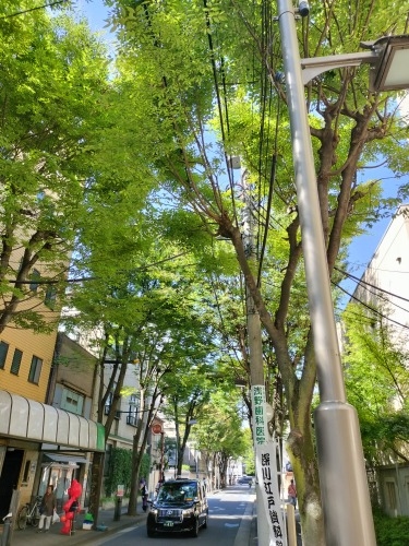清澄白河を散歩|ピタゴラスイッチカフェと深川1本極太うどん食べた