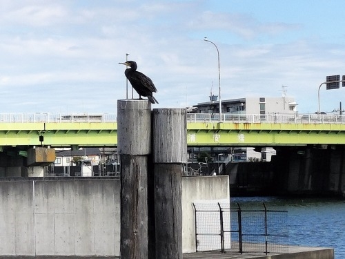 ���������U���b