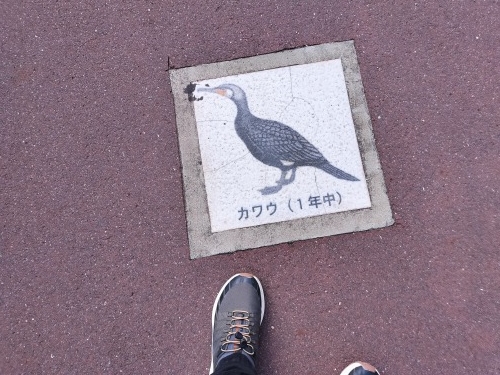 西葛西から散歩|葛西と漁師町だった浦安の街並みを晴れた日に散歩だ