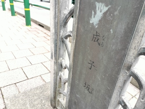 ���q����U���i�����s�V�h��j���q�_�Ђ̖�O���E���q����U�����Ă�