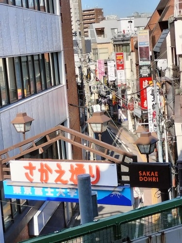 高田馬場から散歩|馬場から夏目漱石晩年に生活した場所と関孝和墓所