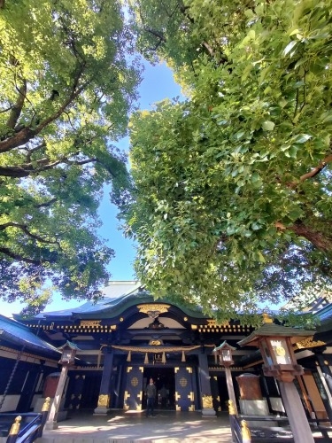 高田馬場から散歩|馬場から夏目漱石晩年に生活した場所と関孝和墓所