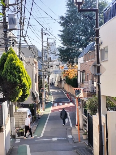 高田馬場から散歩|馬場から夏目漱石晩年に生活した場所と関孝和墓所