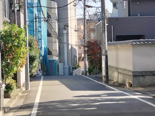 ���U��i�V�h�扡�����j�ق�Ƃɂ���Ⴂ���܂ɑ��������̂�����