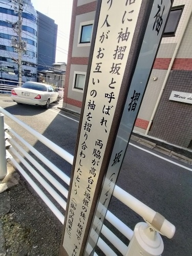 ���U��i�V�h�扡�����j�ق�Ƃɂ���Ⴂ���܂ɑ��������̂�����