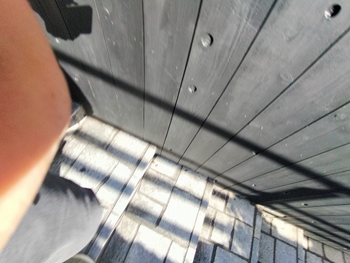 ���U��i�V�h�扡�����j�ق�Ƃɂ���Ⴂ���܂ɑ��������̂�����