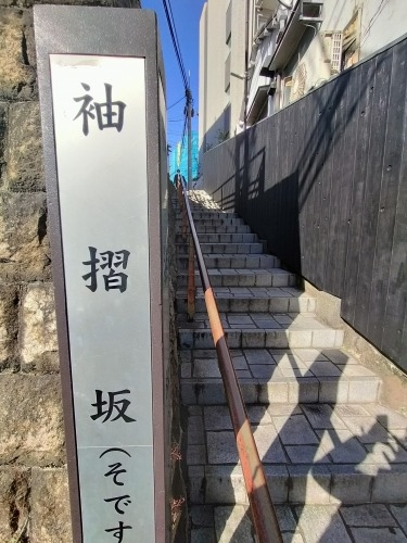 ���U��i�V�h�扡�����j�ق�Ƃɂ���Ⴂ���܂ɑ��������̂�����