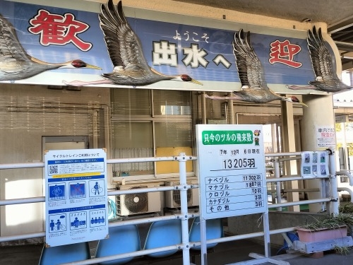 出水を散歩|今回は出水駅西側の市役所あたりを散歩してみたところ