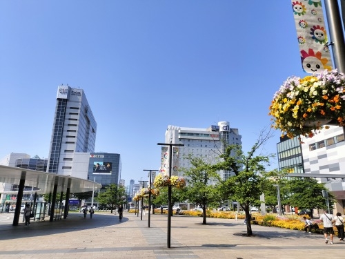 �z���������U���b���Ƃ�