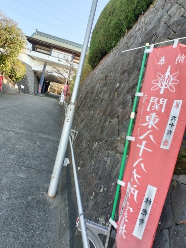 鴨居を散歩|