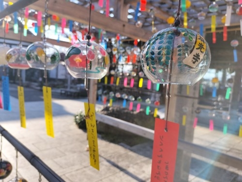 鴨居を散歩|