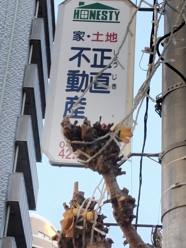 船橋を散歩|船橋駅南側の路地散歩と正直不動産ってあの正直不動産笑