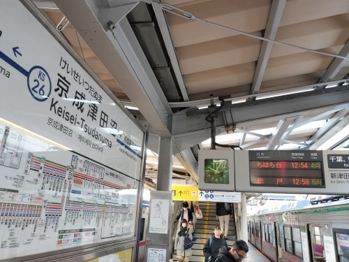 津田塾を散歩|京成津田沼駅からJR津田沼駅までさんぽしてみたぞ