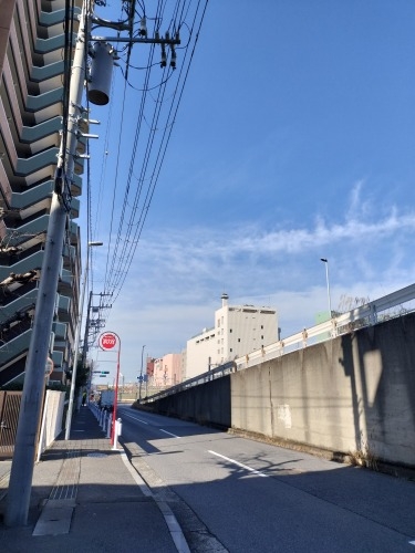 津田塾を散歩|京成津田沼駅からJR津田沼駅までさんぽしてみたぞ