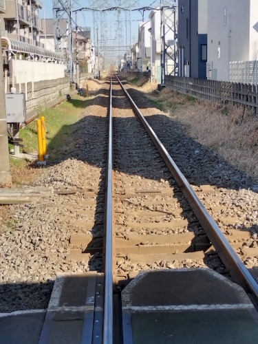 多磨を散歩|新撰組近藤勇生家と多磨霊園に眠る日本をつくった人たち
