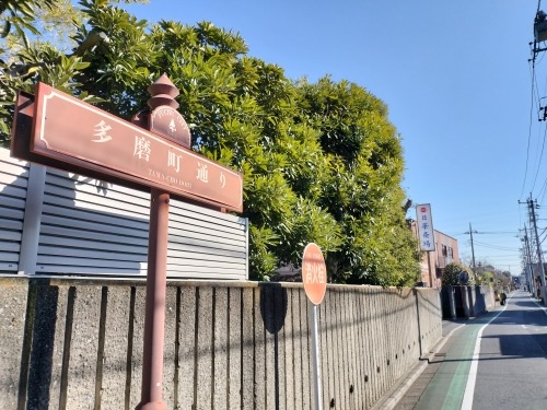 多磨を散歩|新撰組近藤勇生家と多磨霊園に眠る日本をつくった人たち