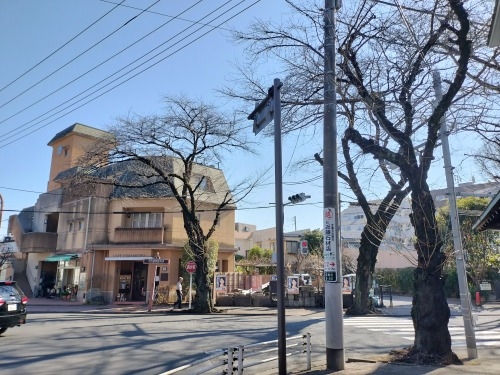 多磨を散歩|新撰組近藤勇生家と多磨霊園に眠る日本をつくった人たち
