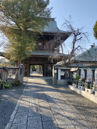 分倍河原を散歩|新田義貞vs鎌倉幕府の古戦場分倍河原と旧甲州街道