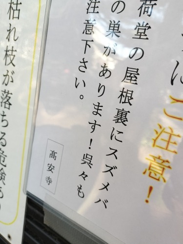 分倍河原を散歩|新田義貞vs鎌倉幕府の古戦場分倍河原と旧甲州街道