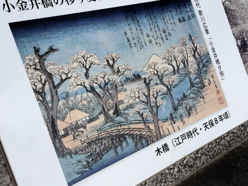 武蔵小金井を散歩|江戸東京たてもの園・蔵相の高橋是清と226事件
