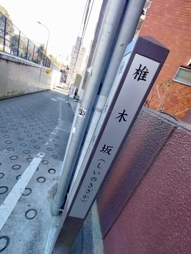 �Ŗ؍���U���i�V�h��7���ځj�����ˉ��~�ɂ������ł̑�؂͂���̂�