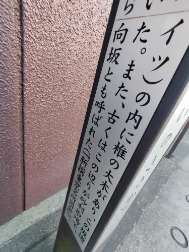 �Ŗ؍���U���i�V�h��7���ځj�����ˉ��~�ɂ������ł̑�؂͂���̂�